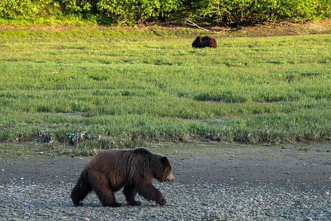 Private Bear Viewing By Seaplane - Preparing for Your Adventure