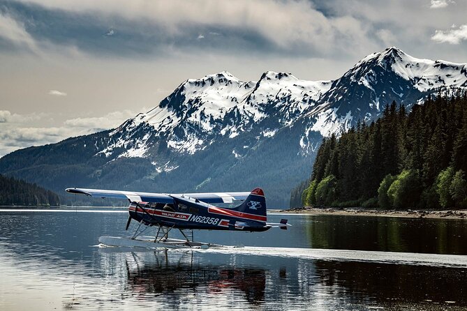 Private Bear Viewing By Seaplane - The Seaplane Experience