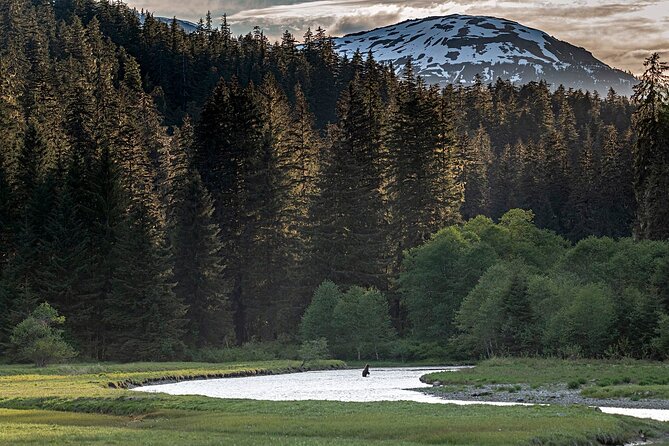 Private Bear Viewing By Seaplane - Taking in the Bear Habitat