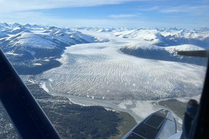 Private Bear Viewing By Seaplane - Unforgettable Memories