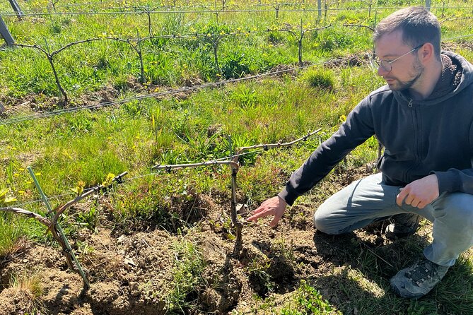 Private Beaujolais Wine Tour - Cancellation Policy