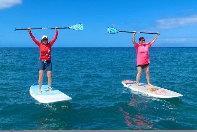 Private Beginner Paddleboard 101 Lesson- Polo Beach, Turtle Town! - Picnic With Scenic Views