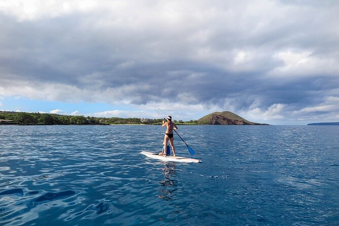 Private Beginner Paddleboard 101 Lesson- Polo Beach, Turtle Town! - Inclusions in the Package