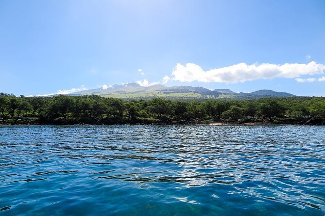 Private Beginner Paddleboard Lesson With Snorkel in Turtle Town! - Cancellation Policy