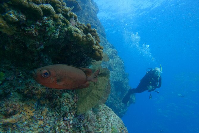 Private Beginner Scuba Diving Experience in Cabo San Lucas - Booking and Cancellation Policy
