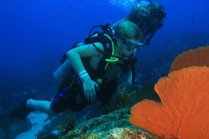 Private Beginner Scuba Diving Experience in Cabo San Lucas - Highlight of Cabo San Lucas