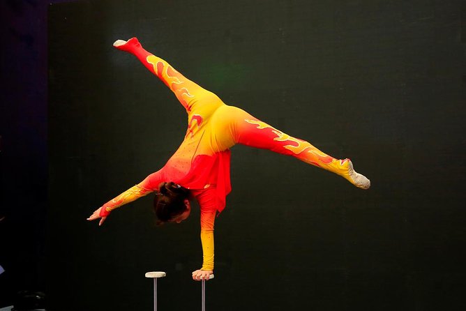 Private Beijing Night Tour: Acrobatic Show and Peking Duck Dinner - Inclusions