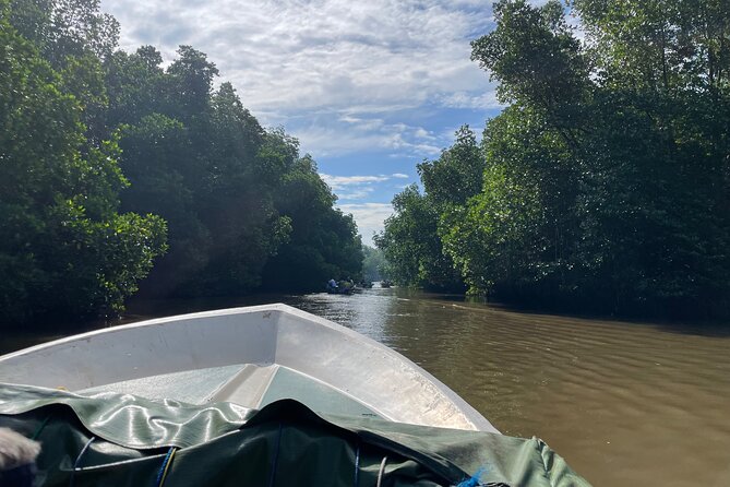 Private Bentota River Safari Tour Review - Pickup and Departure Details