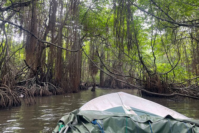 Private Bentota River Safari Tour Review - Boat Safari Experience