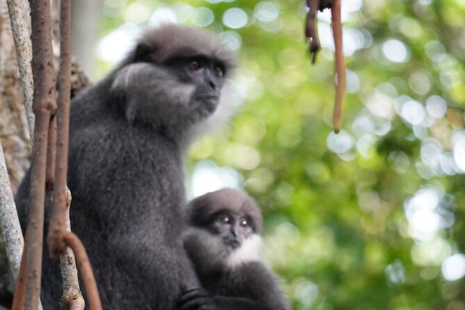 Private Bentota River Safari Tour Review - Booking and Cancellation Policy