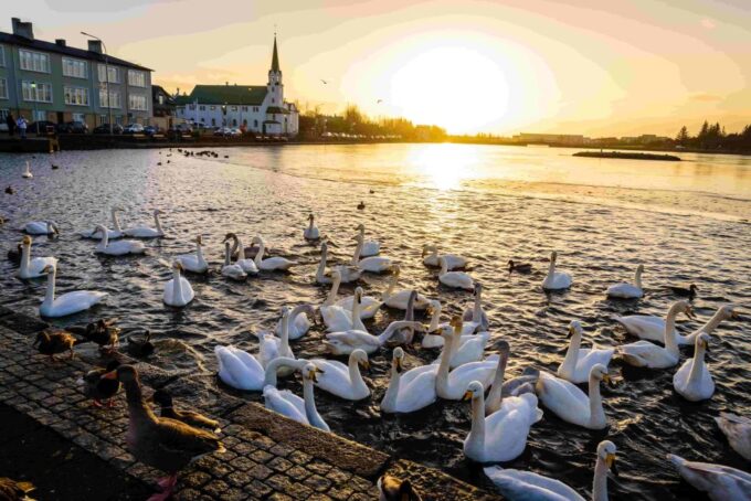 Private Bespoke 4-hour Reykjavik City Tour - Pickup and Drop-off