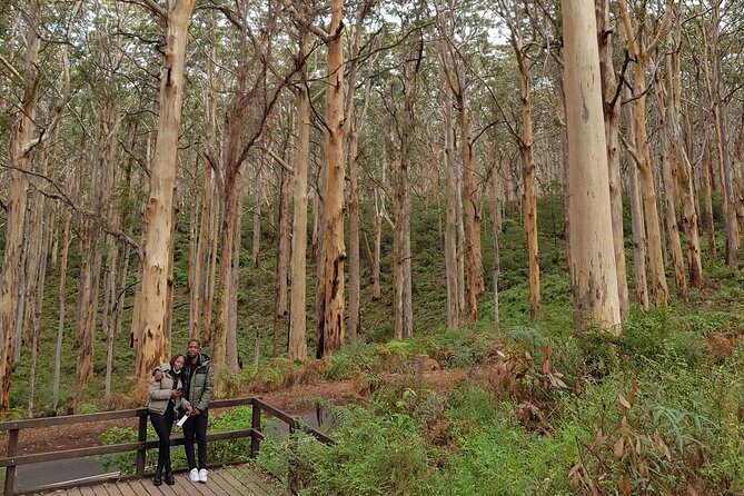 Private Bespoke Tour of Margaret River - Unique Experiences