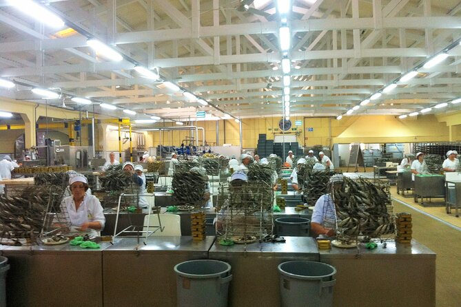 Private Best Fish Experience From Porto - Tour Overview