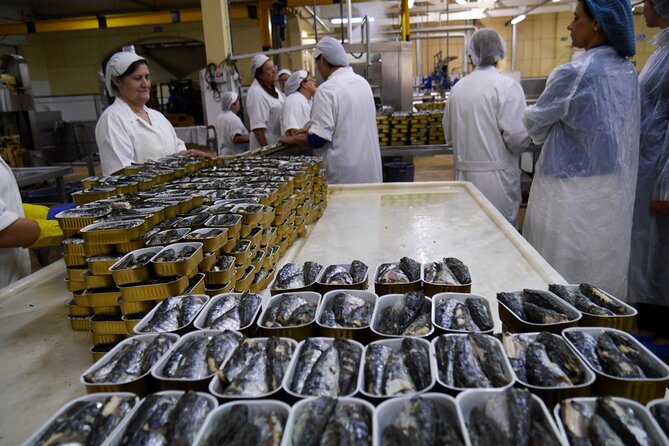 Private Best Fish Experience From Porto - Exploring the Fish Market