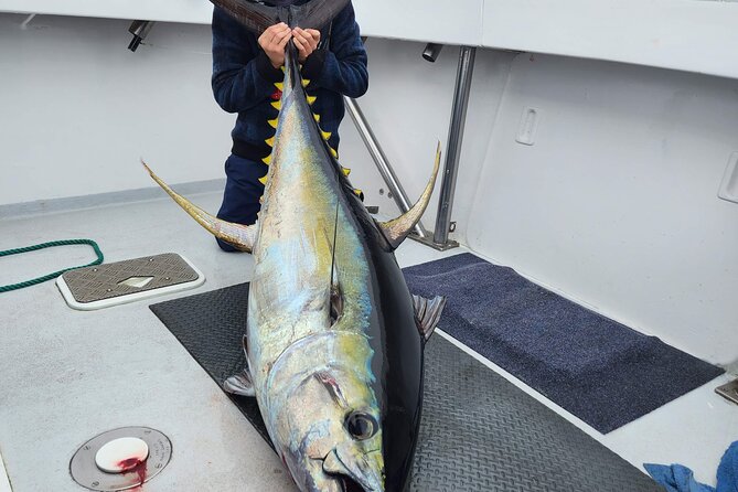 Private Big Game Fishing Charter From Tutukaka, Northland - Included Amenities