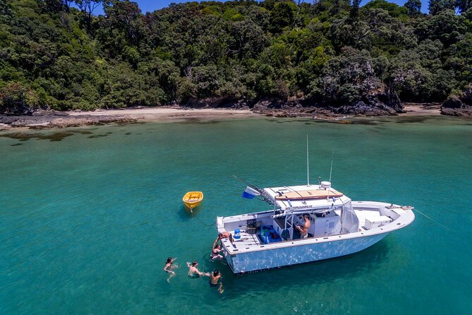 Private Big Game Fishing Charter From Tutukaka, Northland - Availability and Accessibility