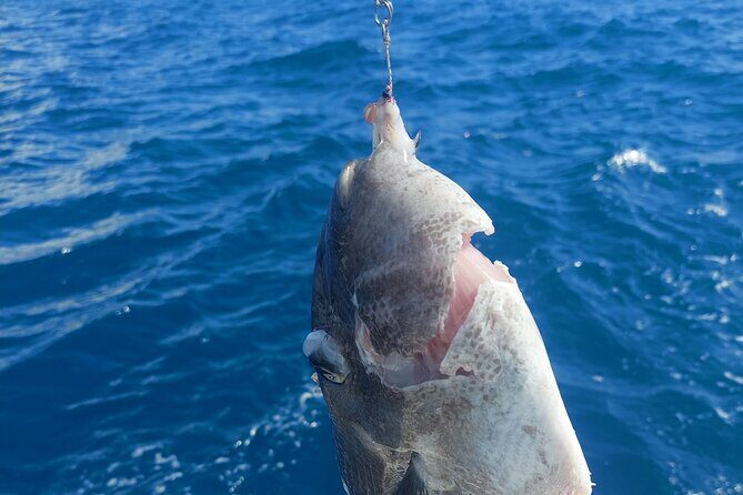 Private Big Game Fishing Tour in Raiatea - FAQ