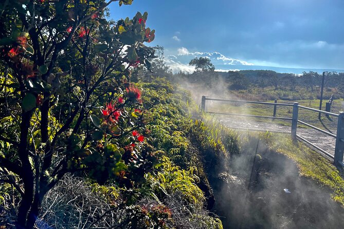Private Big Island Tour: Coffee, Beaches, Volcanos, Waterfalls - Visit Rainbow Falls and Coffee Plantations