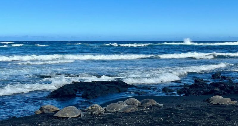 Private Big Island Tour:Coffee, Beaches,Volcanos & Waterfall - Breaking Down the Itinerary