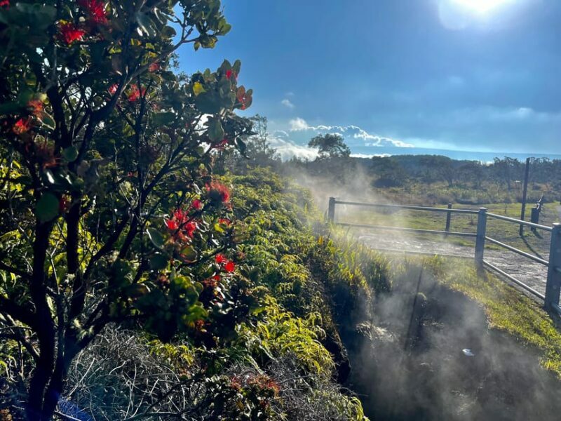 Private Big Island Tour:Coffee, Beaches,Volcanos & Waterfall - Authentic Experiences and Review Highlights