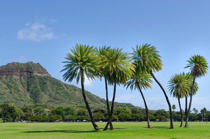 Private Bike Tour in Honolulu - Key Points