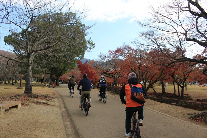 Private Bike Tour in Nara With Japanese Guide - Onigiri Specialty Store Visit