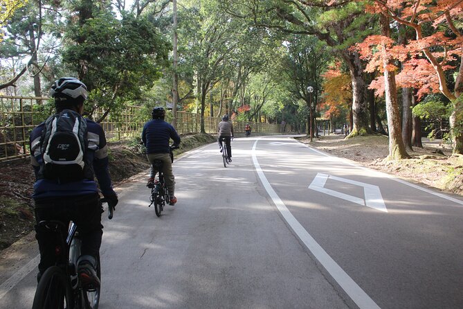 Private Bike Tour in Nara With Japanese Guide - Tour Restrictions and Considerations