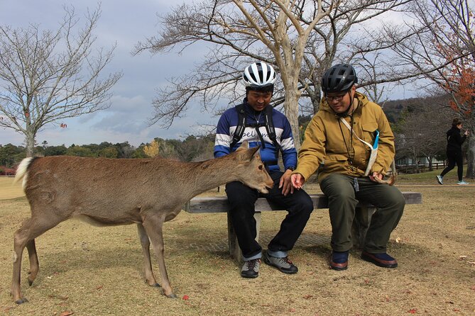 Private Bike Tour in Nara With Japanese Guide - Cancellation and Weather Policy
