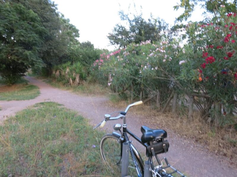 Private Bike Tour, Nature and History Along the Appian Way - Park Exploration