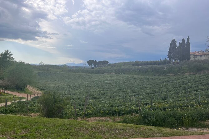Private Bike Tour of Vinci Town and Countryside - Pricing Information