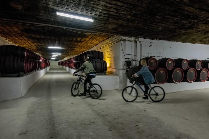 Private Bike Tour to Cricova Winery With Wine Tasting and Lunch - About Your Stay