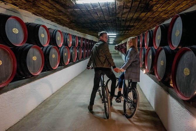 Private Bike Tour to Cricova Winery With Wine Tasting and Lunch - Itinerary and Activities