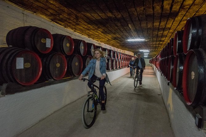 Private Bike Tour to Cricova Winery With Wine Tasting and Lunch - Inclusions