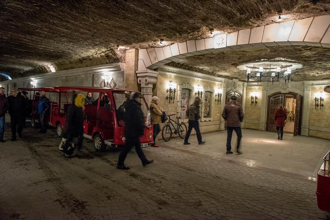 Private Bike Tour to Cricova Winery With Wine Tasting and Lunch - Group Size and Pricing