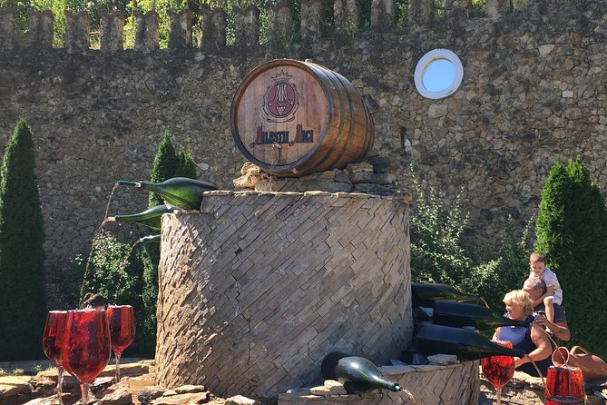Private Bike Tour to Milestii Mici Winery With Wine Tasting and Lunch - Reviews