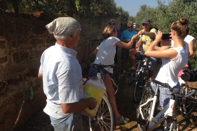 Private Bike Tour With Olive Oil Tasting - Unique Landscapes