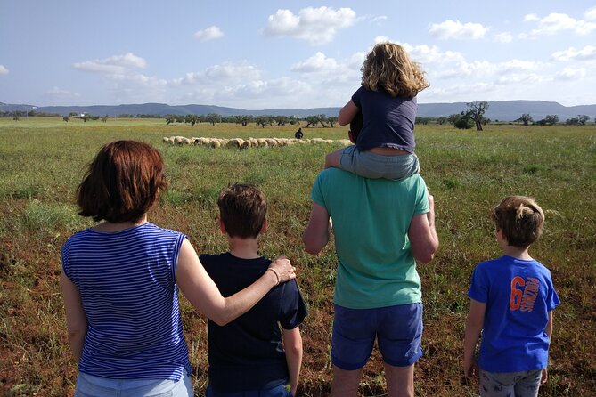 Private Bike Tour With Olive Oil Tasting - Dolmen Di Montalbano