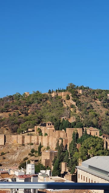 Private Bike Tours - Inclusions and Requirements