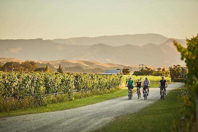 Private Biking Wine Tour (Full Day) in the Marlborough Region - Tour Details