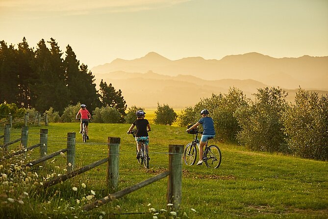Private Biking Wine Tour (Full Day) in the Marlborough Region - Reviews and Ratings