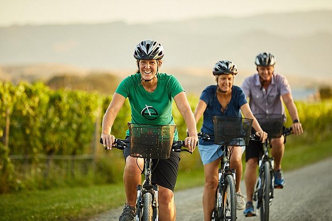 Private Biking Wine Tour (Full Day) in the Marlborough Region - Cycling Through Vineyards