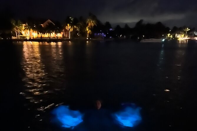 Private: Bioluminescence Tour - Inclusions and Amenities