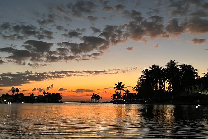 Private: Bioluminescence Tour - Bioluminescence Experience