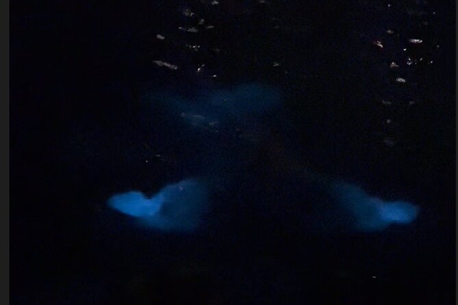 Private: Bioluminescence Tour - Booking and Cancellation Policy