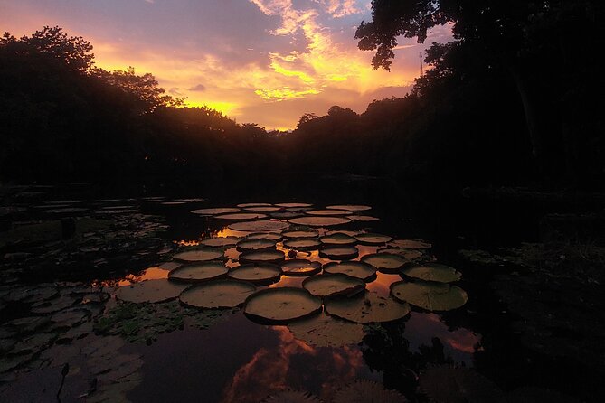 Private Bird Watching Experience in Los Chocuacos - Highlights of the Tour