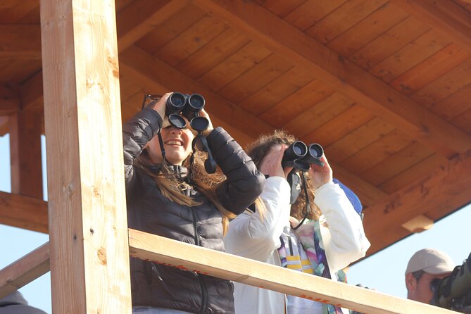 Private Birding Tour in Albania - Meeting and Pickup Details
