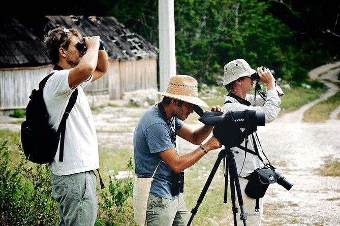 Private Birdwatching Tour in Sian Kaan Muyil - Inclusions