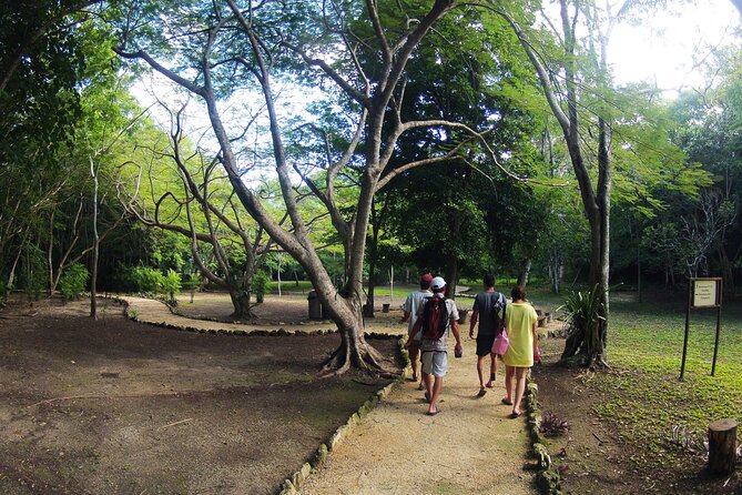 Private Birdwatching Tour in Sian Kaan Muyil - Transportation Details