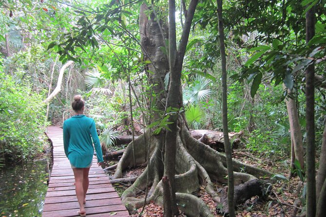 Private Birdwatching Tour in Sian Kaan Muyil - Health and Safety Guidelines