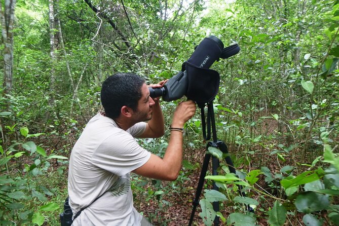 Private Birdwatching Tour in Sian Kaan Muyil - Exploring Mayan Culture